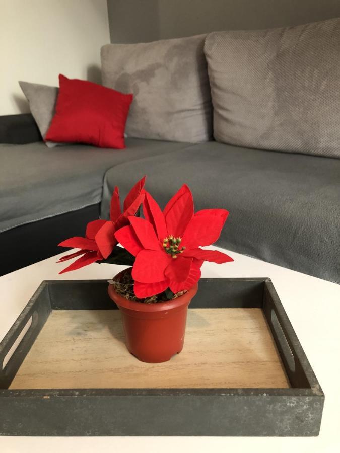 Charming Rijeka City Center Apartment Renee Ngoại thất bức ảnh